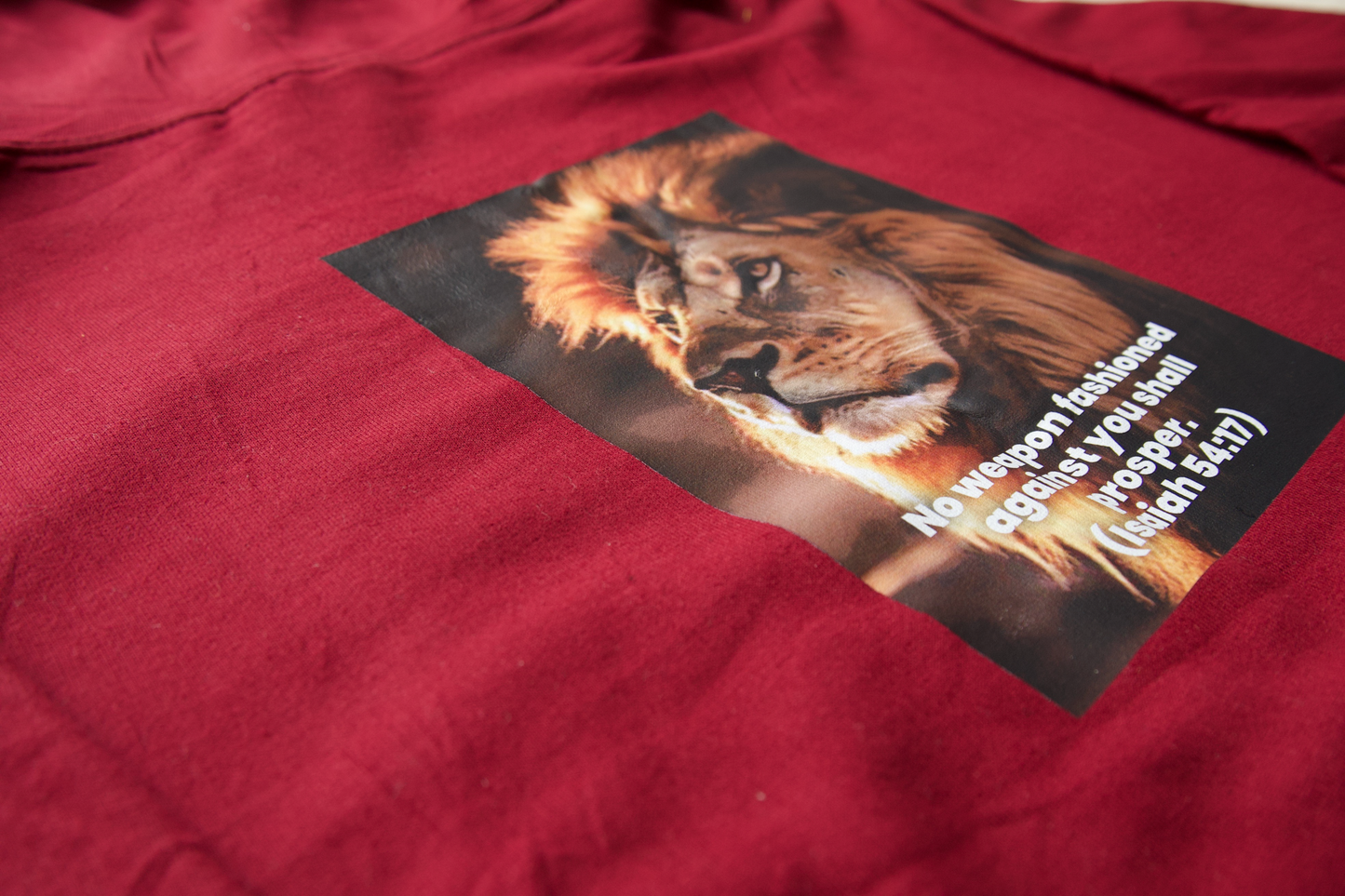 Printed Hoodie Isaiah 54:17